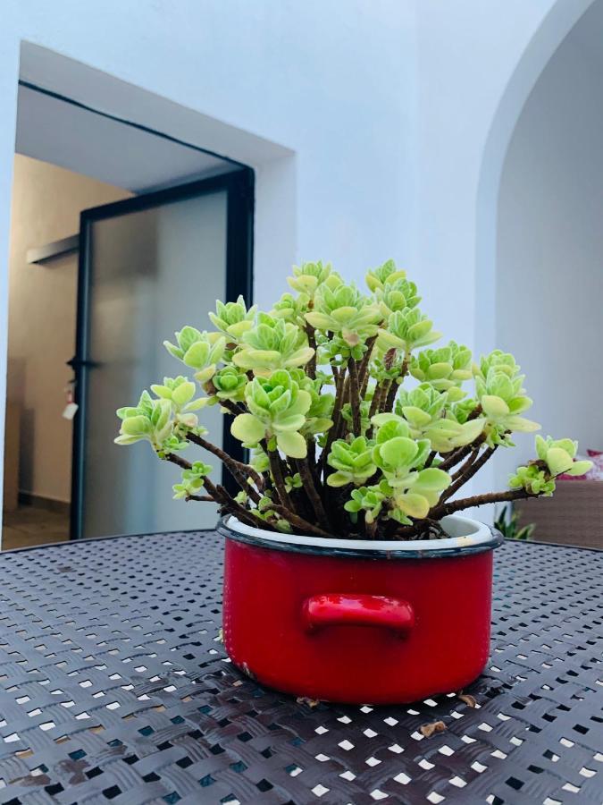 B&B Nonna Tina Gemini  Ngoại thất bức ảnh